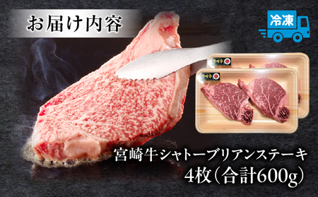 牛肉 宮崎牛 シャトーブリアン・ヒレ ステーキ 600g 牛肉