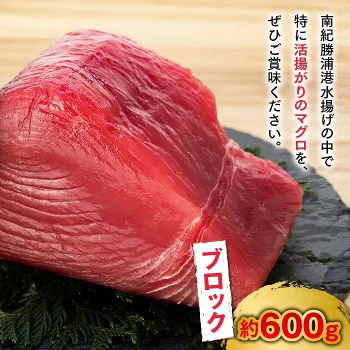 生まぐろの本場紀州勝浦から直送！生メバチマグロ 600g