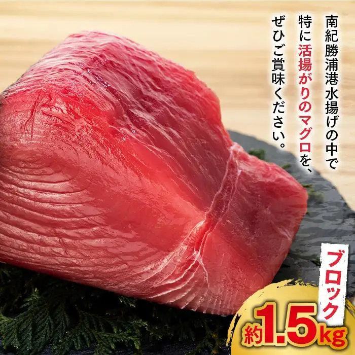 生まぐろの本場紀州勝浦から直送！生メバチマグロ 約1.5kg