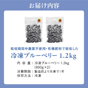 【2026年7月より順次発送】栽培期間中農薬不使用！急速冷凍ブルーベリー 1.2kg 【JAほたるの里】_HA1517 | ベリー フルーツ