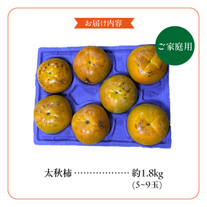【訳あり品】【10月発送】池尻農園 太秋柿 5 ～ 9玉 約 1.8kg ご家庭用_訳あり品 10月より順次発送 池尻農園 太秋柿 5 ～ 9玉 約 1.8kg ご家庭用 柿 10月 最盛期 完全甘柿 早生品種 大玉 甘み 強い シャキシャキ 食感 条紋 美味しさ 際立つ 種 少ない 食べやすい 人気 国産 九州産 フルーツ 果物 お取り寄せ 福岡県 久留米市 〔Fk015〕