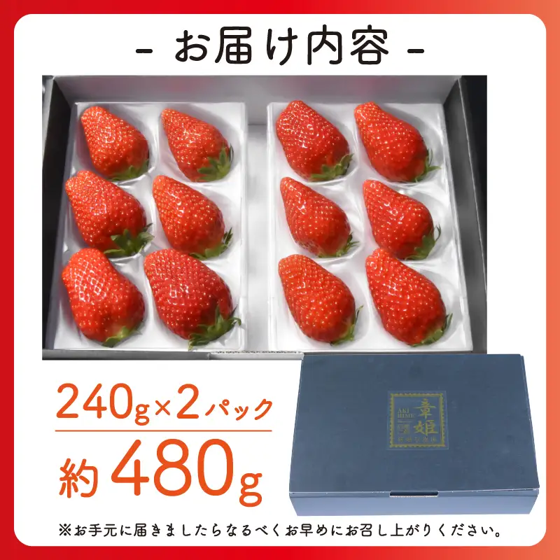 【2027年1月中旬以降発送】 いちご 章姫 (特大粒) 480g前後（240g×2） イチゴ 苺 いちご