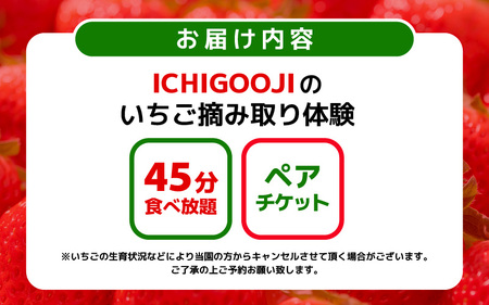 【感謝券】45分食べ放題！ICHIGOOJIのいちご摘み取り体験 ペアチケット 【イチゴ 苺 章姫 紅ほっぺ いちご狩り 旬の味覚 利用券 チケット 観光 体験 旅行】 [B-19501]