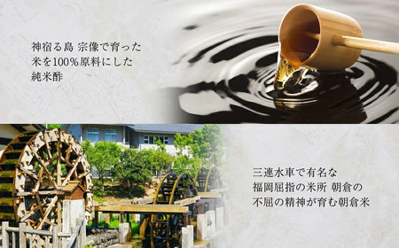 鯖 鮭 寿司 清広食品 推薦2種 食べ比べ セット | 寿司