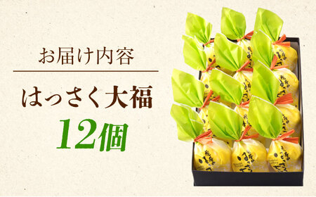 はっさく大福 12個入 [BADH012]大福 | 広島県福山市 | ふるさと納税
