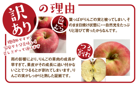 【先行予約】飛騨直送 桃とリンゴのフルーツ定期便 桃 6玉 りんご リンゴ 5kg 訳あり 訳アリ 定期便 