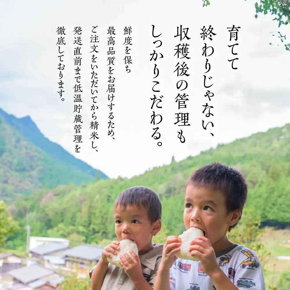 【2025年産】きぬむすめ 5kg（5kg×1袋）【かみはら山水農園】【28-12】
