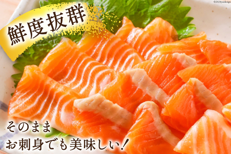 訳あり サーモン 切り落とし おさしみ用 800g 160g x5p [足利本店 宮城県 気仙沼市 20565988]