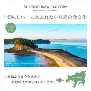 【ギフト用】小豆島産100％エキストラバージン(EXV) オリーブオイル(単品) 100ml×2本