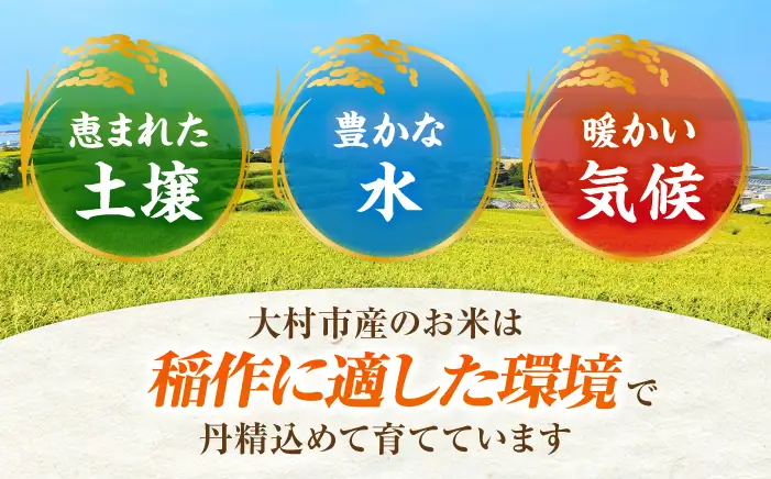 【新米予約】 令和8年度 新米 5kg / 新米予約 新米 米 白米 ご飯 / 大村市 / おおむら夢ファームシュシュ [ACAA008]