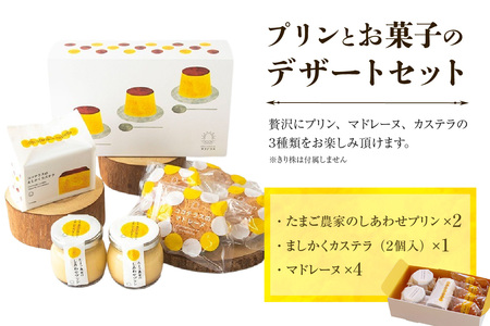 プリンとお菓子のデザートセット プリン カステラ マドレーヌ のし対応 洋菓子 焼き菓子 和菓子 お菓子 おやつ 詰合せ 贈答用 デイリーファーム プリン デザート スイーツ ココテラス なめらかプリン ギフト プレゼント 手土産 グルメ お取り寄せ 愛知県 常滑市