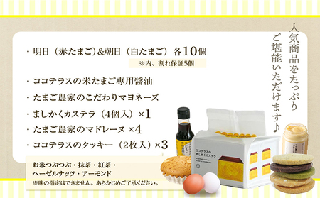 ココテラスの新鮮な卵とお菓子の堪能セット カステラ マドレーヌ クッキー マヨネーズ 醤油 たまご専用醤油 調味料 料理 赤卵 白卵 タマゴ 卵 鶏卵 焼き菓子 洋菓子 グルメ スイーツ お取り寄せ 詰め合わせ ギフト 贈り物 プレゼント 愛知県 常滑市