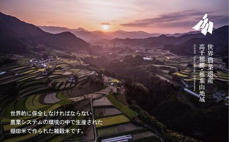 藤の花色に染まる六穀米「藤六穀（ふじろっこく）」 高千穂棚田米 たかきび 挽き割とうもろこし もちあわ もち麦 黒米 紫色 雑穀米 高千穂 宮崎 世界農業遺産 特選雑穀米 ヒノヒカリ 椎葉 諸塚 日の影 五ヶ瀬 _Tk028-005