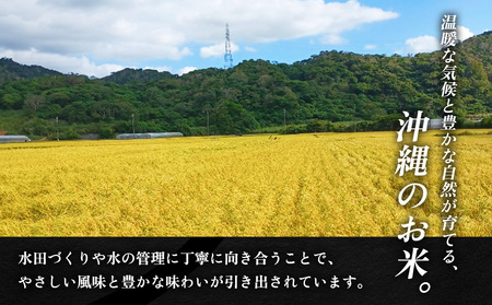 米 沖縄 令和8年産 羽地米(ひとめぼれ) 5kg 名護