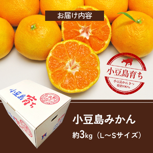 【 小豆島 】 小豆島みかん 約3kg 柑橘 果物 フルーツ 爽やか ビタミンC ビタミン くだもの 国産 香川 香川県 土庄 土庄町