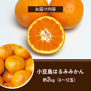 【 小豆島 】小豆島 はるみみかん 約2kg 蜜柑 みかん ミカン はるみ 果物 フルーツ 国産 くだもの 国産 香川 香川県 土庄 土庄町