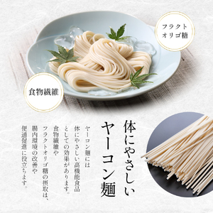 【 小豆島 】小豆島手延べヤーコン麺 160g×9袋 手延べ そうめん 素麺 小豆島 土庄町 麺 ヤーコン ヤーコンめん