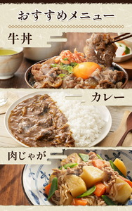 味彩牛 切り落とし 約600g×2パック 計1.2kg 菊池地域農業協同組合(JA菊池まんまキッチン)《90日以内に出荷予定(土日祝除く)》熊本県 菊池市 切落し スライス済み 小分け 牛肉 お肉 熊本県産 九州産 国産 冷凍 送料無料