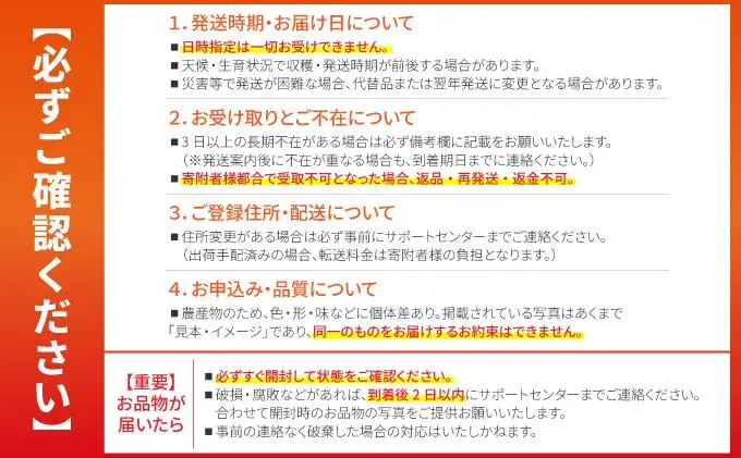 【先行予約】石垣島産 ピーチパイン 3玉 約2.7・
