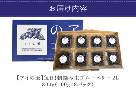 数量限定・期間限定》 【アイの玉】毎日！朝摘み生ブルーベリー(2L