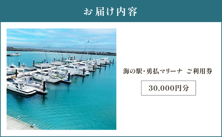 海の駅 ・ 勇払マリーナ ご利用券 T062-FT01 体験 チケット
