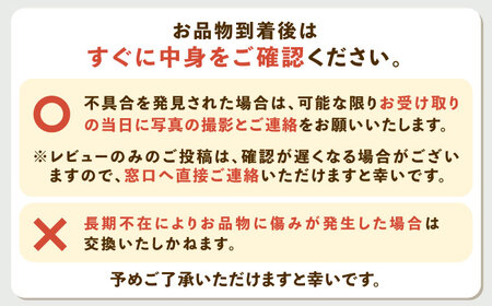 ※【2026年11月より順次発送／先行予約】伊木力温州早生みかん10kg(ご家庭用、箱入り) / みかん 温州みかん 柑橘 蜜柑 ミカン 果物 / 諫早市 / 末永果樹園 [AHBD002]