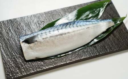 【 スピード配送 】 適塩さば 昆布エキス入り 約5kg さば