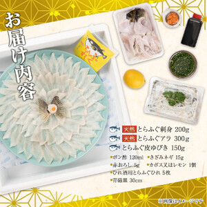 ふぐ料理専門店 『栄ふく』 国産 天然 とらふぐフルコース（3～4人前）青磁皿30cm付
