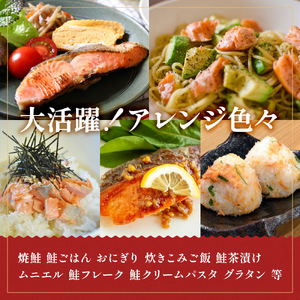 【訳あり】鮭 銀鮭 切り身 3kg