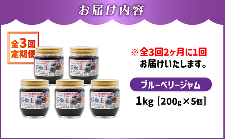2468-1  【 全3回 定期便 】（ 2ヶ月に1回お届け ）粒王 ブルーベリー ジャム 200g × 5個 KN030-T02 果物 加工食品