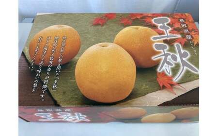 王秋 3kg （生橋農園）梨 鳥取 果物 フルーツ