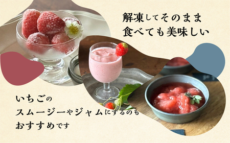 2026年5月より発送】 《 訳あり 》 冷凍いちご 品種おまかせ 1.5kg