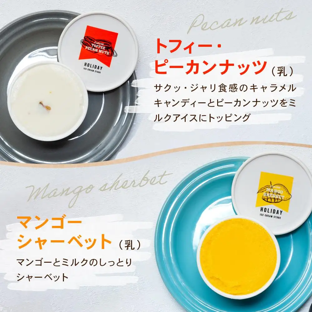 HOLIDAY ICE CREAM STORE CLASSICS　クラフトアイスクリーム 132ml×6個セット