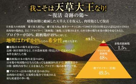 天草大王精肉セット（モモ、ムネ、ササミ） 約1.5kg×3セット 計約4.5kg 天草大王 モモ ムネ ササミ