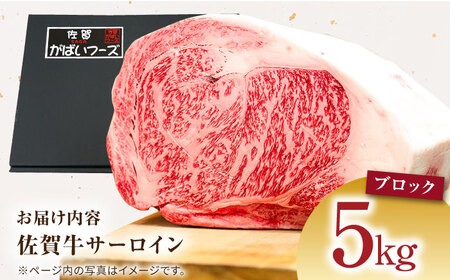 佐賀牛サーロインブロック5kg HCS109 黒毛和牛 国産 ブロック肉