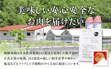 鶏肉 福袋 合計1kg 鶏肉 飛騨