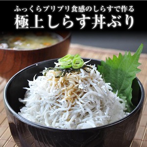 ふるさと特鮮 釜揚げしらす 約200g×2セット 合計400g【家庭用パック】 和歌山県美浜町産｜しらす 魚 鮮魚 減塩 採れたて 国産 お米 ご飯 ごはん 丼 ※年末年始のお届け不可