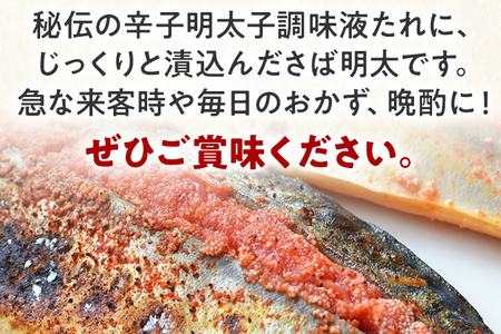 さば明太 秘伝の辛子明太子液たれ仕込み 16枚 お取り寄せグルメ お取り寄せ 福岡 お土産 九州 福岡土産 取り寄せ グルメ 福岡県