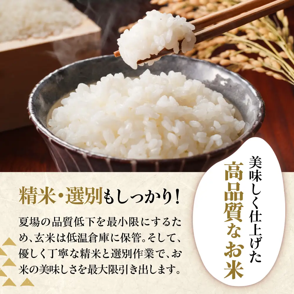 令和7年産 コシヒカリ 10kg 精米 山形