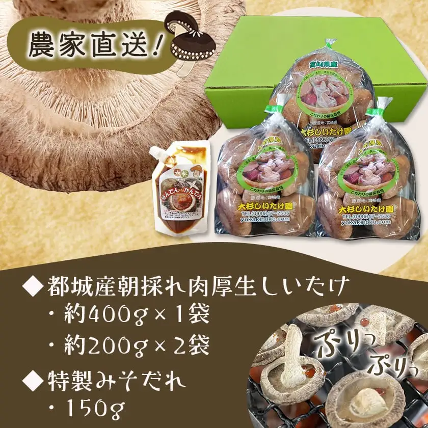 都城産朝採れ肉厚生しいたけ〔AA-8701〕_(都城市) 特製みそだれ付き 朝採れ生椎茸 約400g×1袋・約200g×2袋 計800g どんこ椎茸 贈り物・ギフトにも 国産 宮崎県産 チーズとも相性抜群 山之口町産 冷蔵保存 冷凍保存可