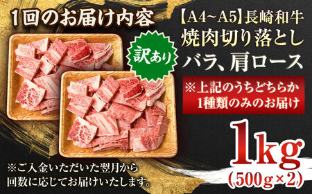【全12回定期便】【訳あり】【A4~A5】長崎和牛焼肉切り落とし(肩ロース・バラ）　1kg（500g×2p）【株式会社 MEAT PLUS】[QBS044]