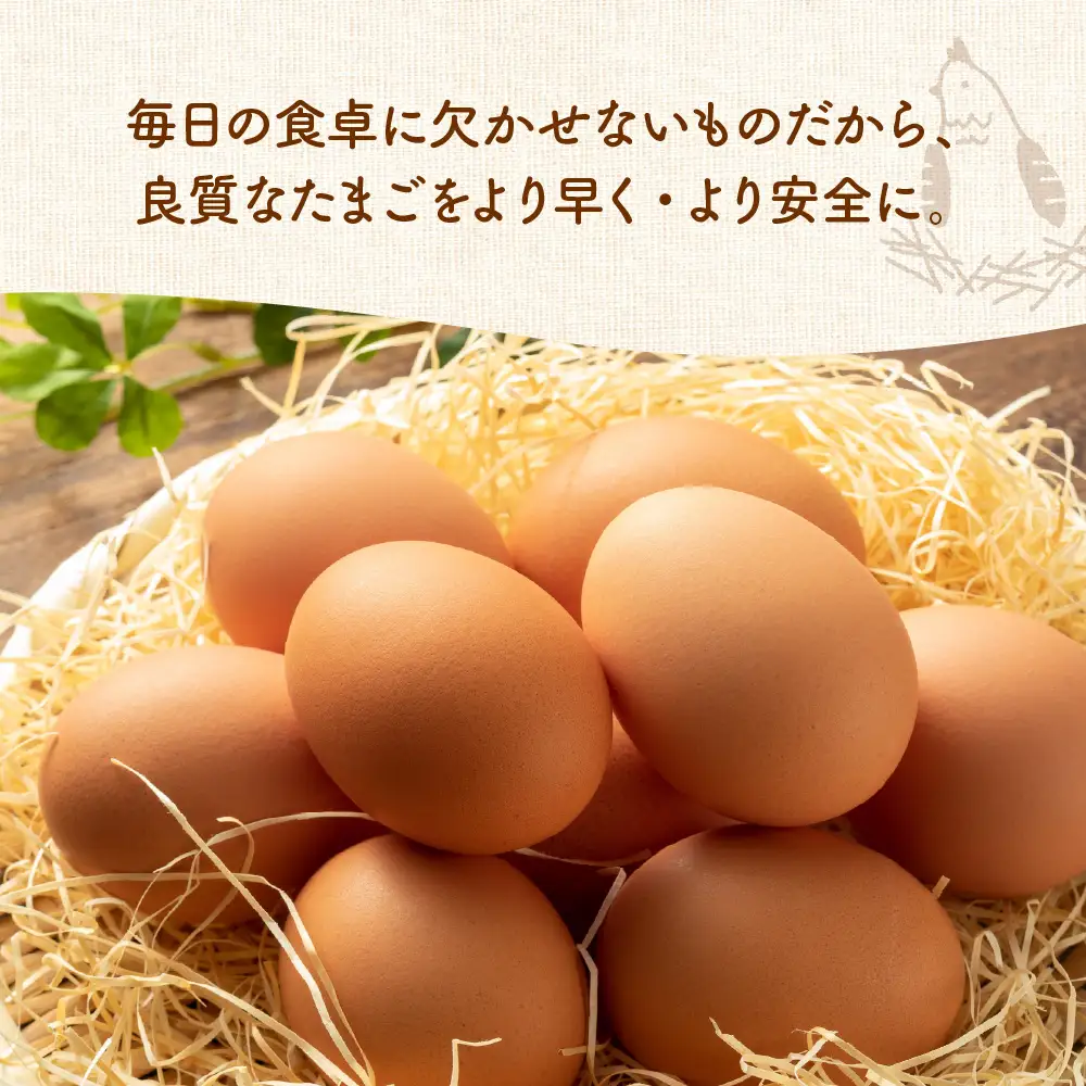 【定期便】 卵 紅花たまご 60個 × 3ヶ月 計180個