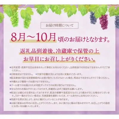 Y20-03 【2026年発送】《予約受付》 季節のぶどう3種セット 約1.5kg シャインマスカット ピオーネ クイーンニーナ ナガノパープル バイオレットキング マイハート マスカ・サーティーン マスカット・ノワール スカーレット 天晴 瀬戸ジャイアンツ