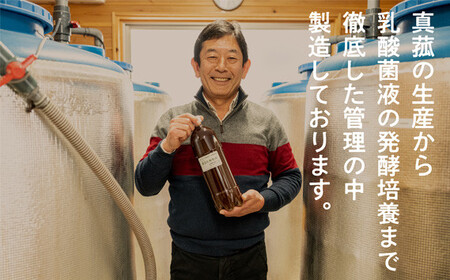 【定期便】真菰（まこも）乳酸菌液　1.5L×2本　3ヶ月定期便【n0510-03_nyu】