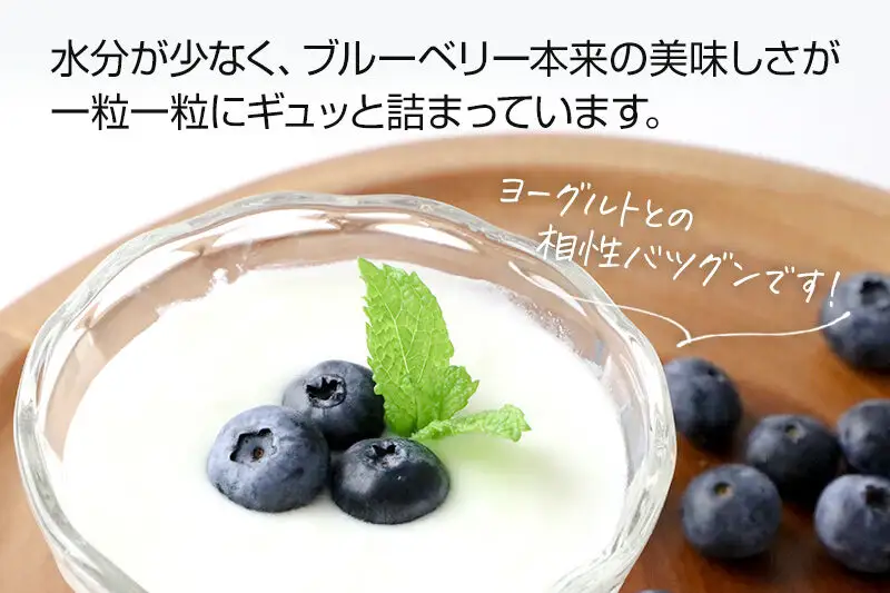 《7月中旬～8月中旬発送》栽培期間中農薬不使用 ブルーベリー 約350g×3個 ベリーガーデン
