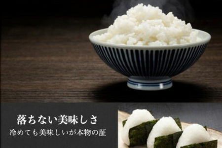 令和7年産《高級桐箱入り》沼田のこしひかり「みずのながれ」9kg×1箱 群馬県沼田市産 精米 白米 コシヒカリ