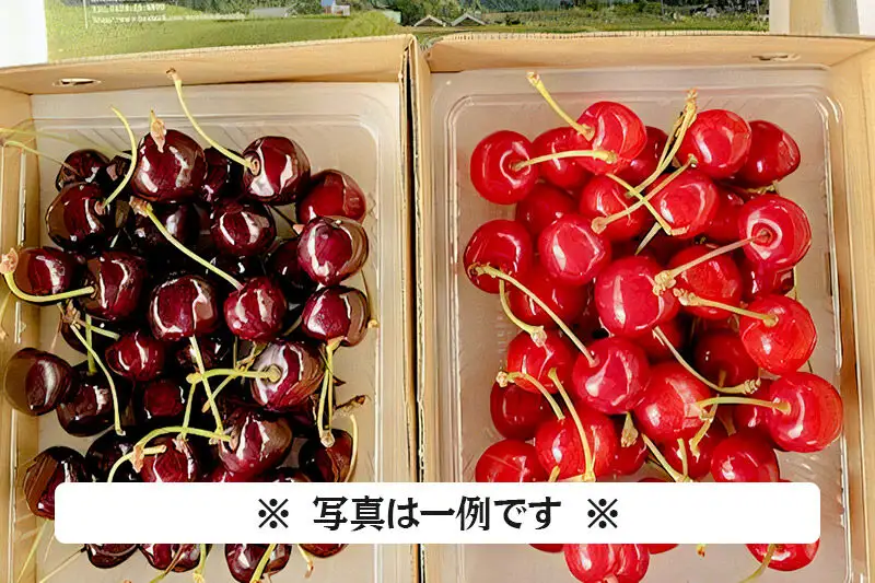 《一部地域限定発送》《6月中旬～下旬発送》おまかせ 旬のさくらんぼ 大粒L～3Lバラ詰め 約600g（約300g×2）