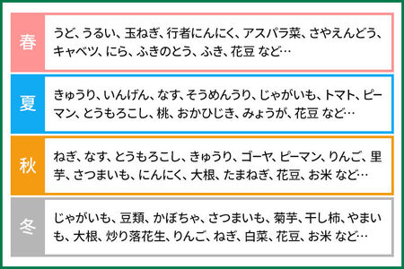 季節のお野菜 おまかせセット B（9～10種類）詰め合わせ