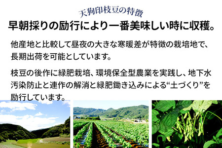 厳選 天狗印枝豆「味緑（みりょく）」約2.5kg