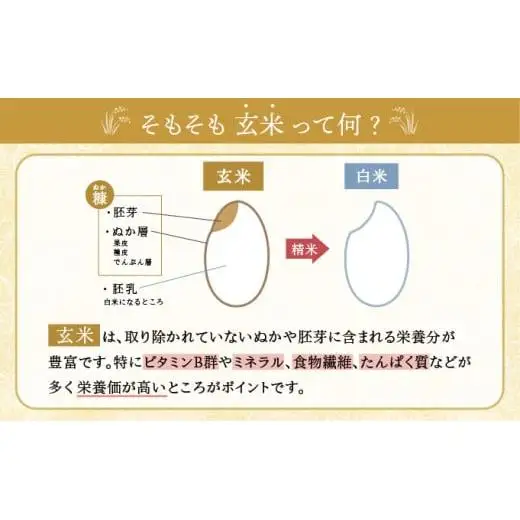 令和8年産 ゆめぴりか 玄米 20kg  【北彩香】